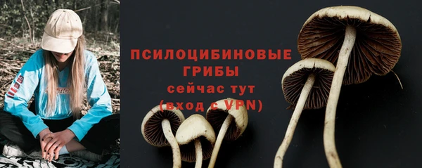 ГАЛЛЮЦИНОГЕННЫЕ ГРИБЫ Заволжск