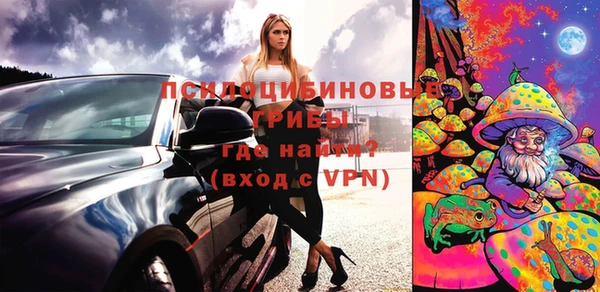 ГАЛЛЮЦИНОГЕННЫЕ ГРИБЫ Заволжск