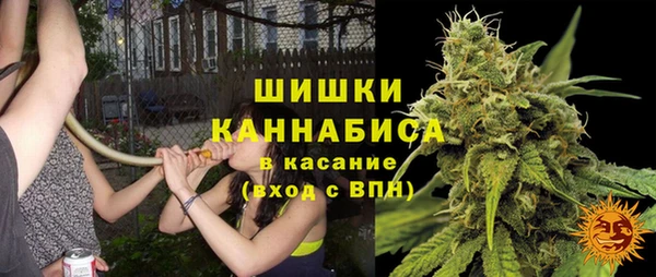 ГАЛЛЮЦИНОГЕННЫЕ ГРИБЫ Заволжск