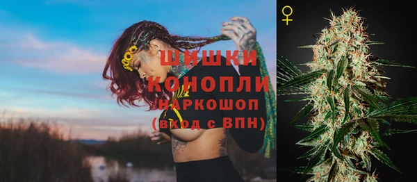 ГАЛЛЮЦИНОГЕННЫЕ ГРИБЫ Заволжск