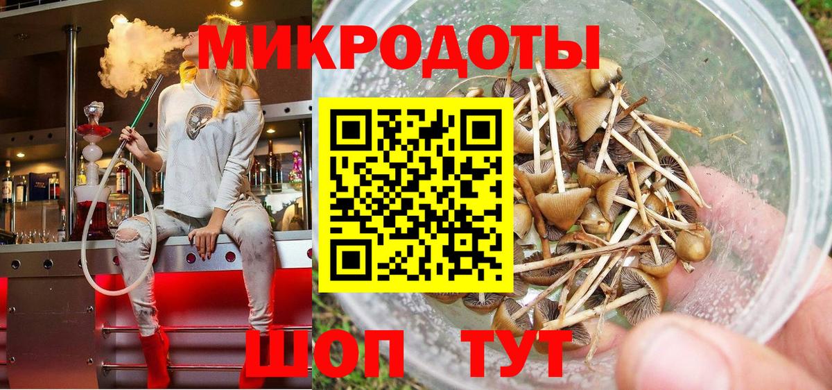 Галлюциногенные грибы Magic Shrooms  дарнет шоп  Заречный  Галлюциногенные грибы Psilocybine cubensis  Вход с VPN 