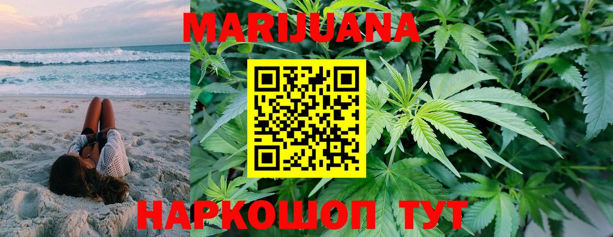 МАРИХУАНА SATIVA & INDICA  Бошки марихуана планчик  Заречный  Вход с VPN  Конопля сатива 